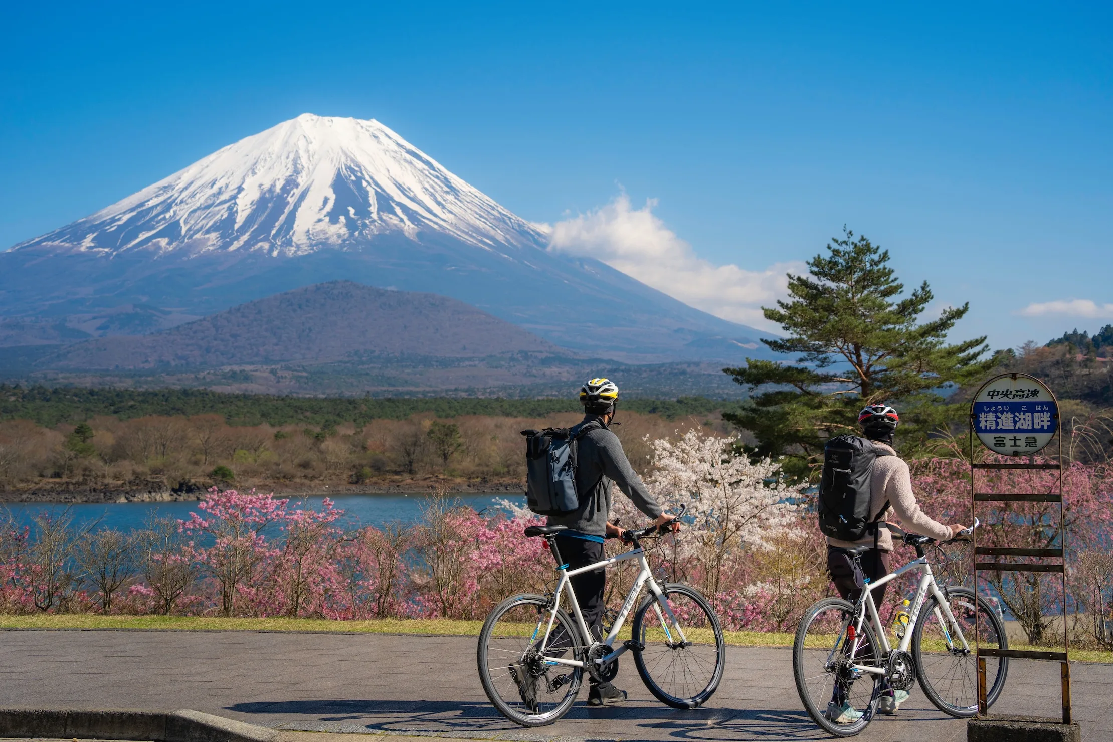 Amazon.co.jp: スポーツ・ヘルスツーリズム (スポーツビジネス